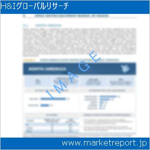 市場と産業調査レポートのイメージ